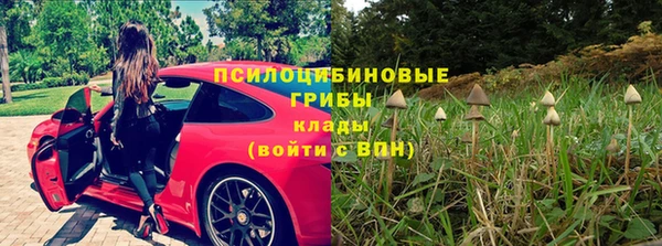 прущий лед Алзамай