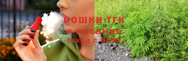 прущий лед Алзамай